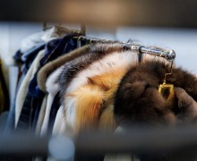  Магадан! Норвежская ярмарка верхней одежды — рекордные скидки до 70%!