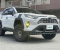 Toyota RAV4, 2019