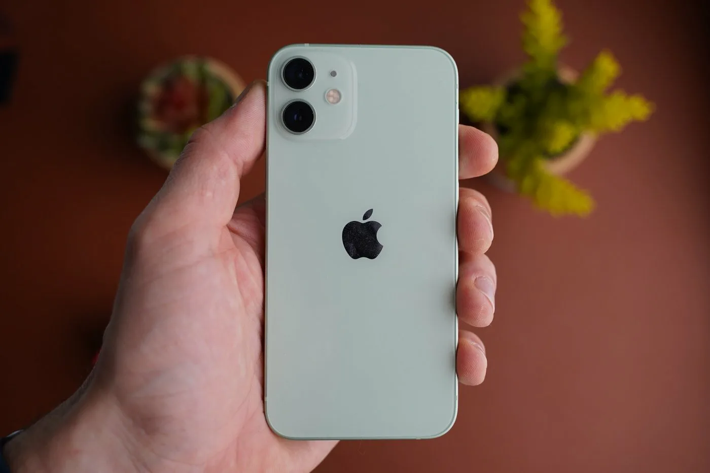 Iphone 12 128gb Купить Авито